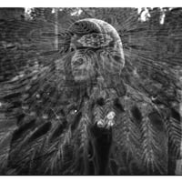 Image 1 of FTN-002 - INSTANT PARTY - Magical Eraser b/w The Sun Will Wash You Away