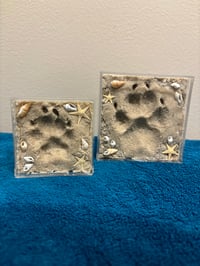 Image 4 of Sandy Paws