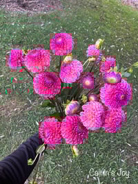Image 1 of Caitlin's Joy - Ball Type