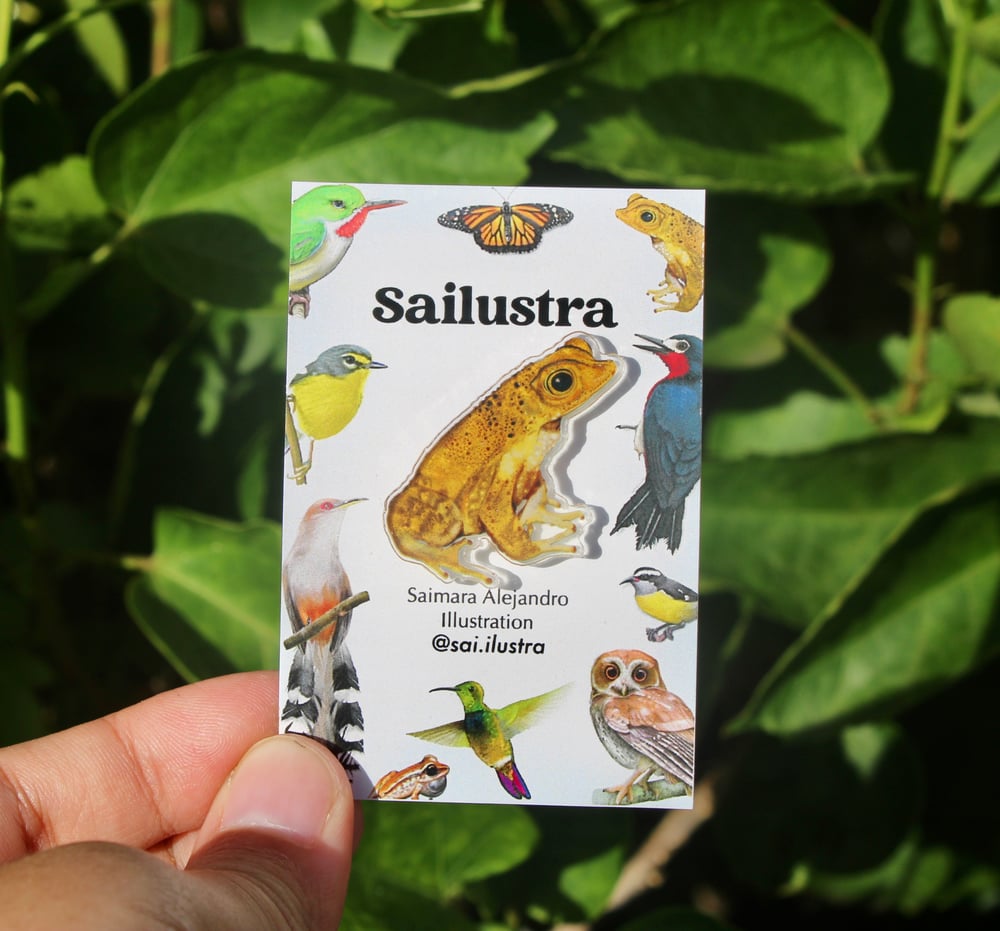 Sapo Concho Pin | Puerto Rican Crested Toad Acrylic Pin
