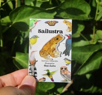 Image 1 of Sapo Concho Pin | Puerto Rican Crested Toad Acrylic Pin