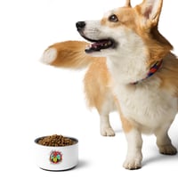 Image 4 of Slurp Lord Pet bowl