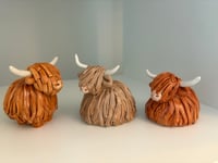 Image 4 of Buwch yr Ucheldir - Highland Cow