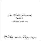 Image of "We Survived the Beginning..." - CD