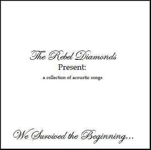 Image of "We Survived the Beginning..." - CD