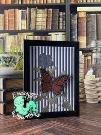 Image 2 of Faux Entomology Mounts - Monarch Butterfly