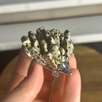 Image 1 of Dalmatian Jasper Hedgehogs ($12)