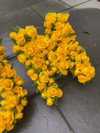 Image 2 of 3 letter Rose Frame 