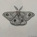 Image 2 of £50 originals - Emperor moth, pointillism
