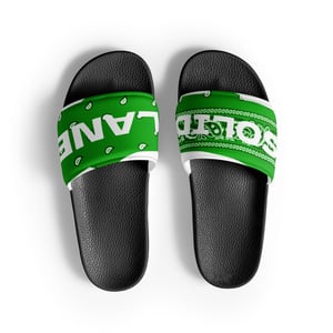 Image of Green Paisley Slides