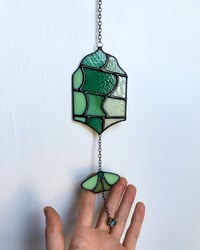 Image 5 of Luna Moth 