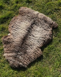 Image 1 of Harting Black Sheepskin #17