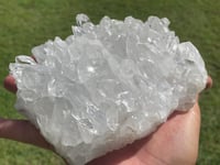 Image 19 of Clear Quartz Points Cluster #1787