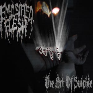 Image of Emulsified Flesh - The Art Of Suicide