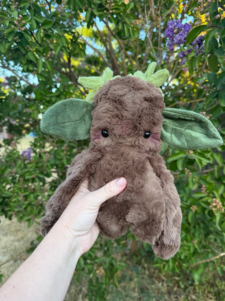 Image of leafy dweller