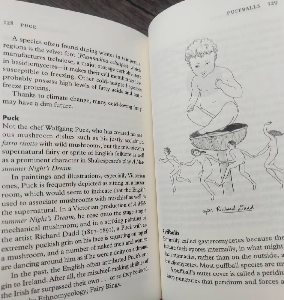 Fungipedia – A Brief Compendium of Mushroom Lore, by Lawrence Millman