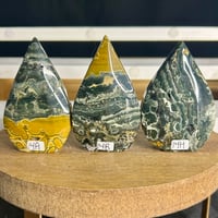 Image 1 of Sea Jasper Flames ($14)