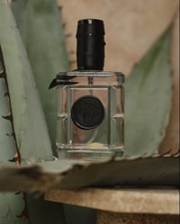 Image 3 of Blanco 