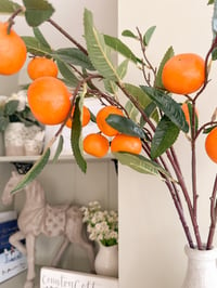 Image 2 of SALE! The Clementine Stems ( 3 Included )