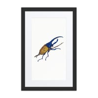 Image 4 of Framed poster of Hercules Beetle