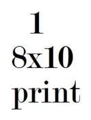 Image of 1 8x10 Print