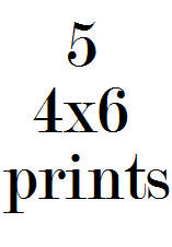Image of 5 4x6 prints