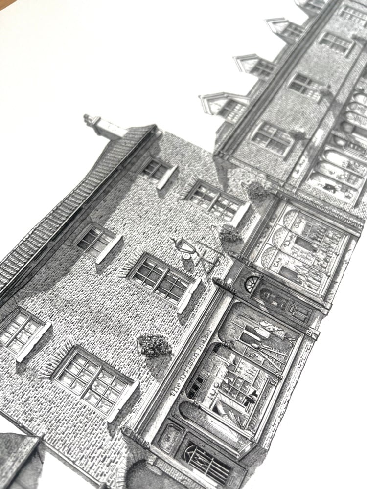 Image of The Papestry (Part 1) 