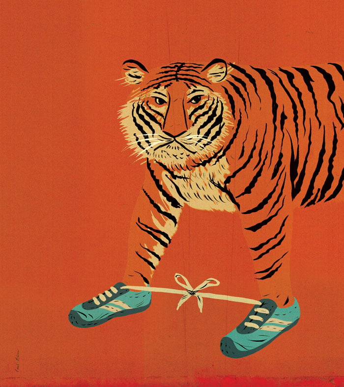 Image of Tiger Feet
