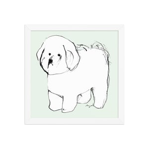 Image of BICHON FRISE