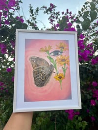 Image 5 of “The rain brought me flowers” 