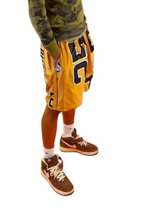 Image 3 of TFS Reconstructed Shorts