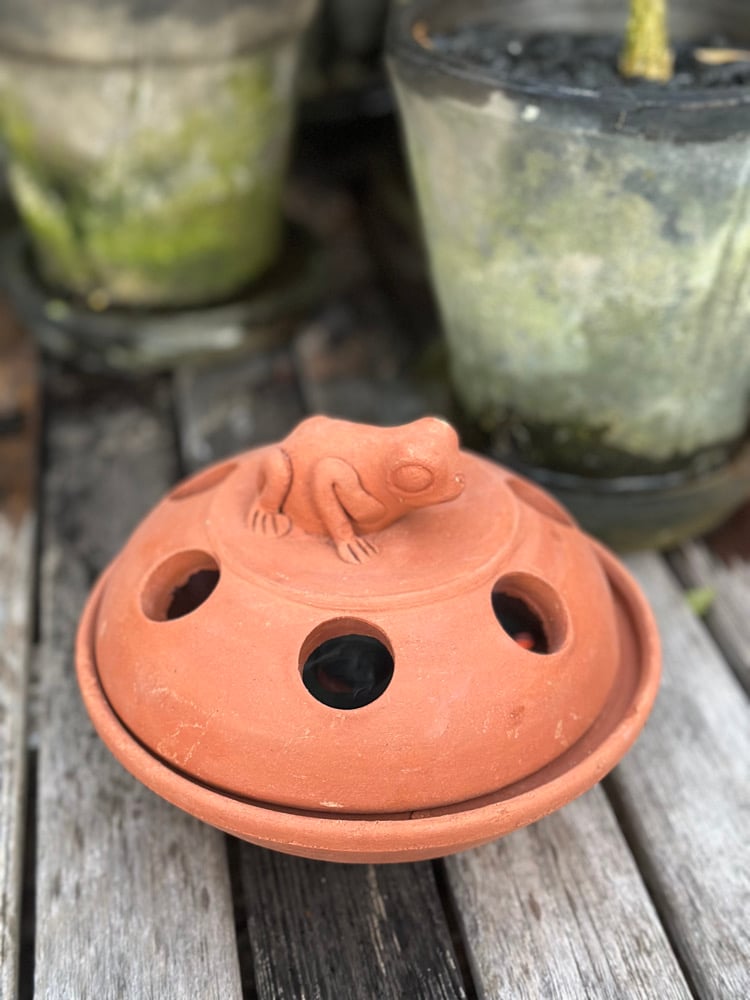 Image of Terracotta Frog Mosquito Coil Holder 