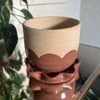 Image 1 of Tulip Planters