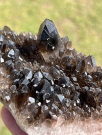 Image 14 of Smoky Quartz Crystal Points Cluster | Brazil #2971