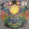 Meatbodies - Meatbodies 