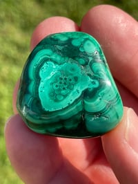 Image 5 of Malachite Polished #1829