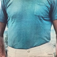 Image 2 of Dennis Wilson - Pacific Ocean Blue