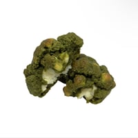 Matcha Cookie 