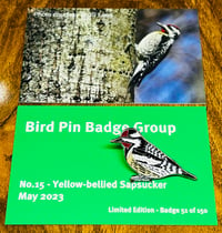 Image 1 of Yellow-bellied Sapsucker - No.15 - Bird Pin Badge Group Series