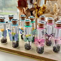 Image 12 of Butterfly (Simple) - Message in a Bottle