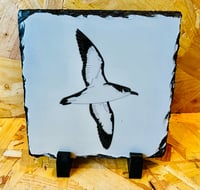 Image 1 of UK Birding Slates - Medium - Various Designs Available