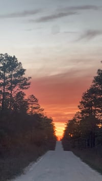 Additional Domestic Shipping