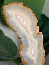 Image 3 of RAINBOW AGATE SLAB -MADAGADSCAR- 