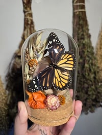 Flower Agate & Monarch Clochè