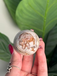 Image 7 of MEXICAN LACE AGATE SPHERE D