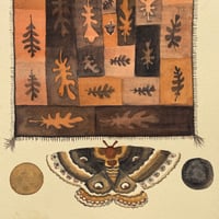 Image 5 of “a transformation”
