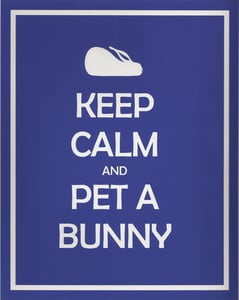 Image of 8x10 Keep Calm and Pet A Bunny print