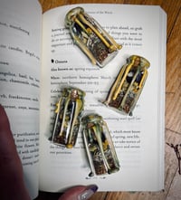 Image 1 of Ostara/Spring Equinox Spell Jar