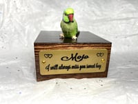 Image 4 of Handmade Custom Engraved Indian Ring Neck Parrot Urn Handpainted Pet Portrait