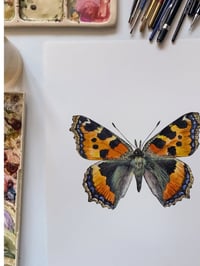 Image 3 of Tortoiseshell Butterfly PRINT